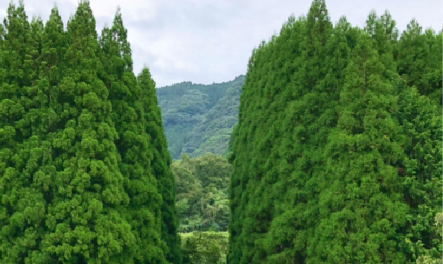 害虫防除水